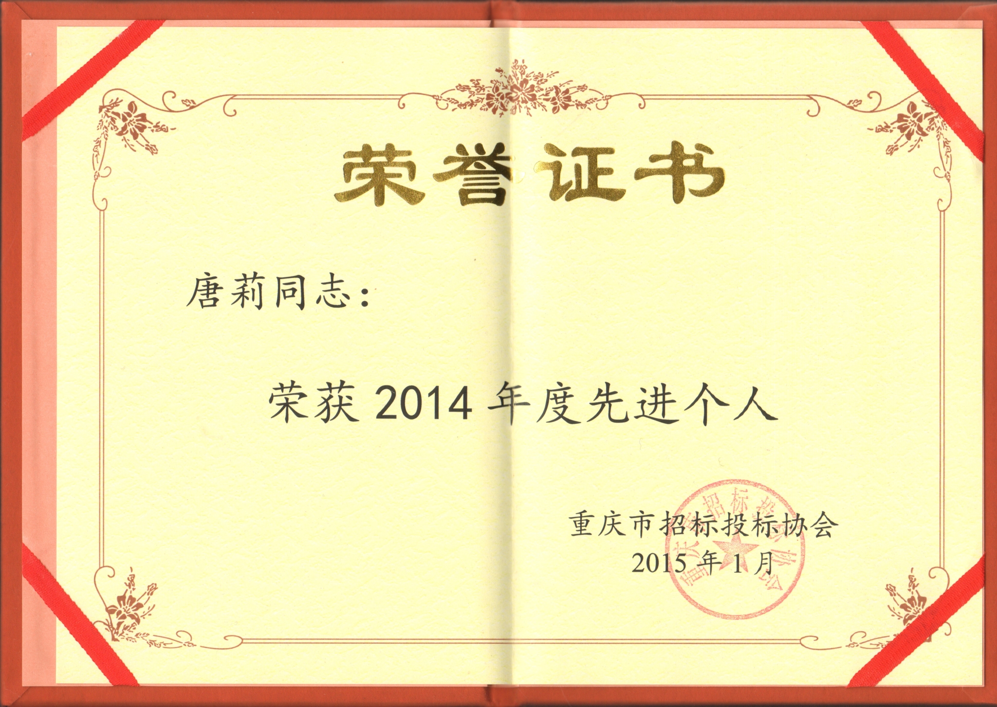 2015唐莉优秀个人.jpg